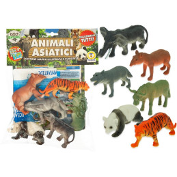 BUSTA ANIMALI DELL'ASIA