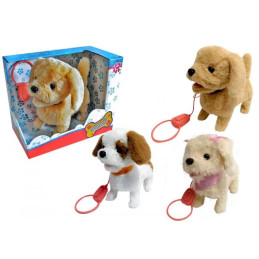 CANE CUCCIOLO FILOGUIDATO 