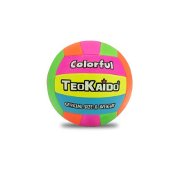 PALLONE VOLLEY T.5  280 GRAMMI